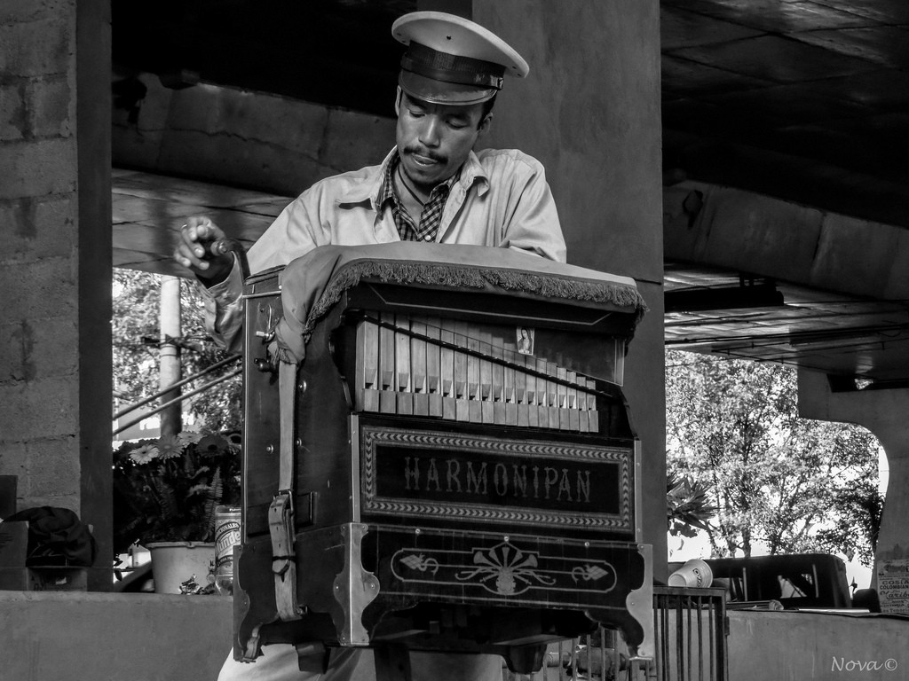 Sonidos que recuerdan a México 2 mxcity.mx organillero. 1024x768 1